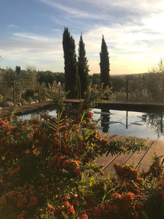 B&B Il Pettirosso Di Сиена Екстериор снимка