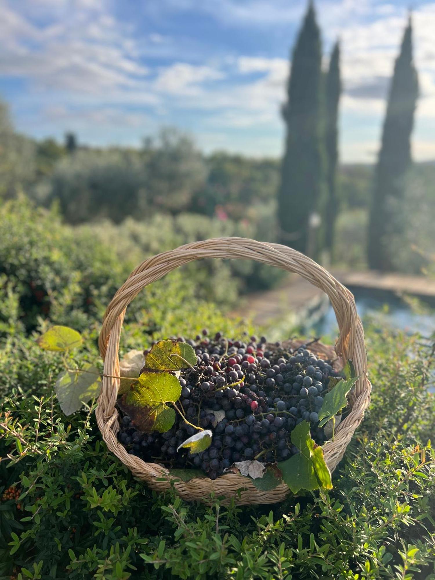 B&B Il Pettirosso Di Сиена Екстериор снимка